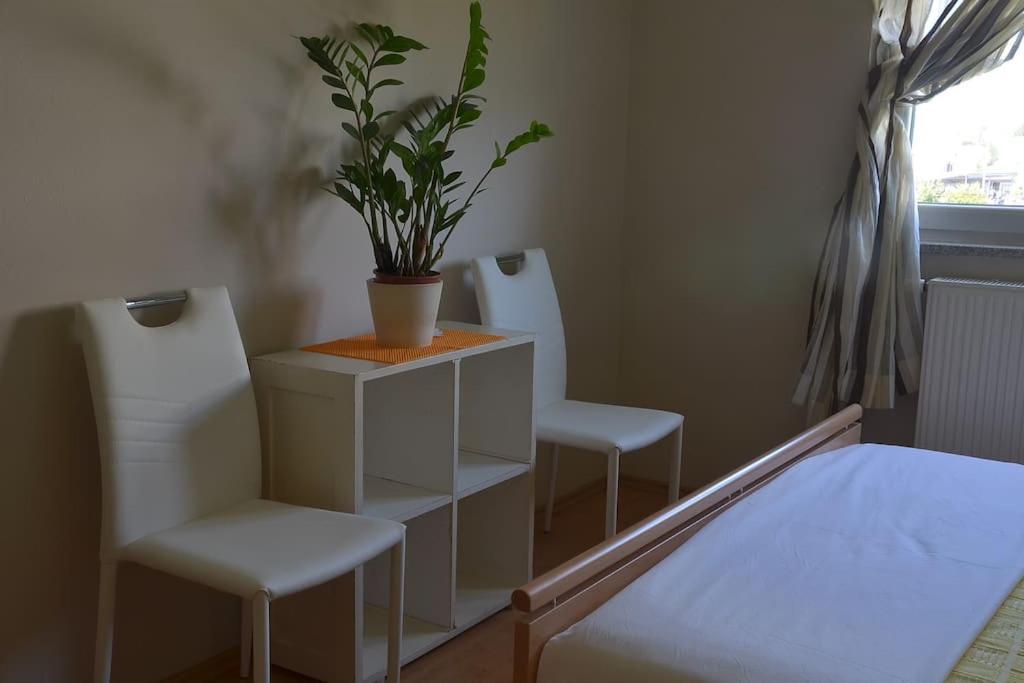 Apartman Ana Pula - Calm, Free Parking, Close To Center Exteriör bild